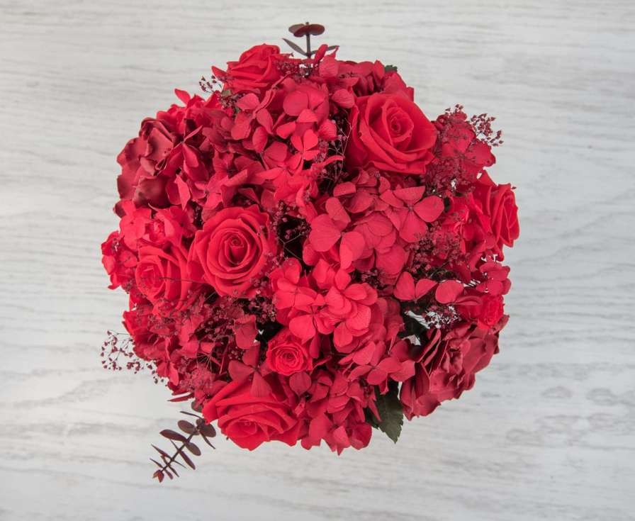 Passion Red