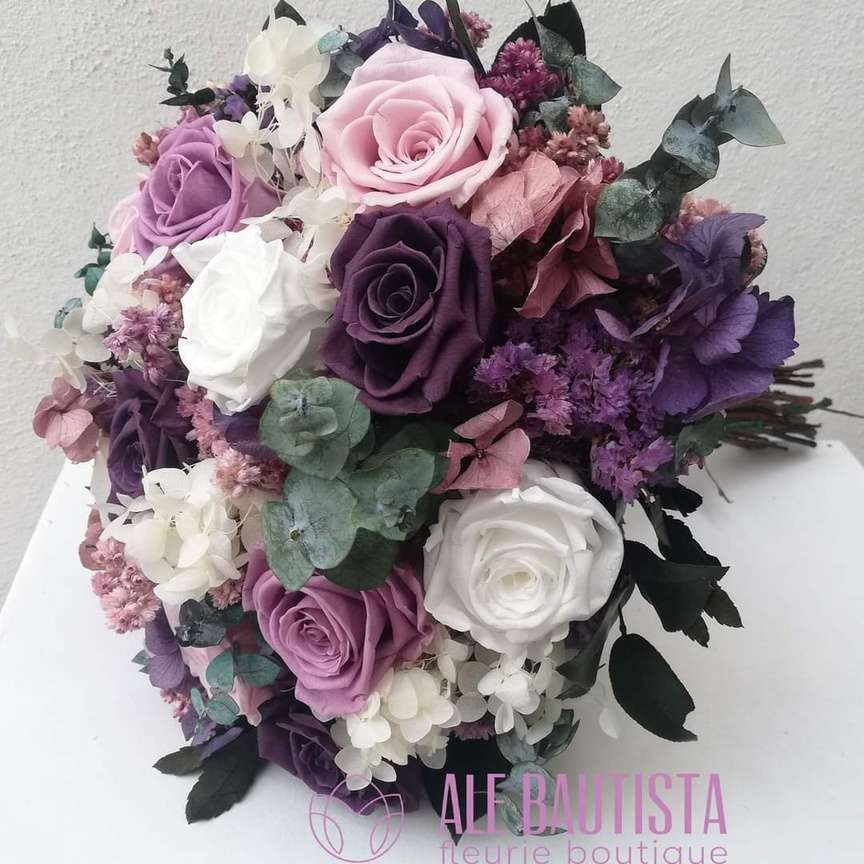 Silvestry Purple